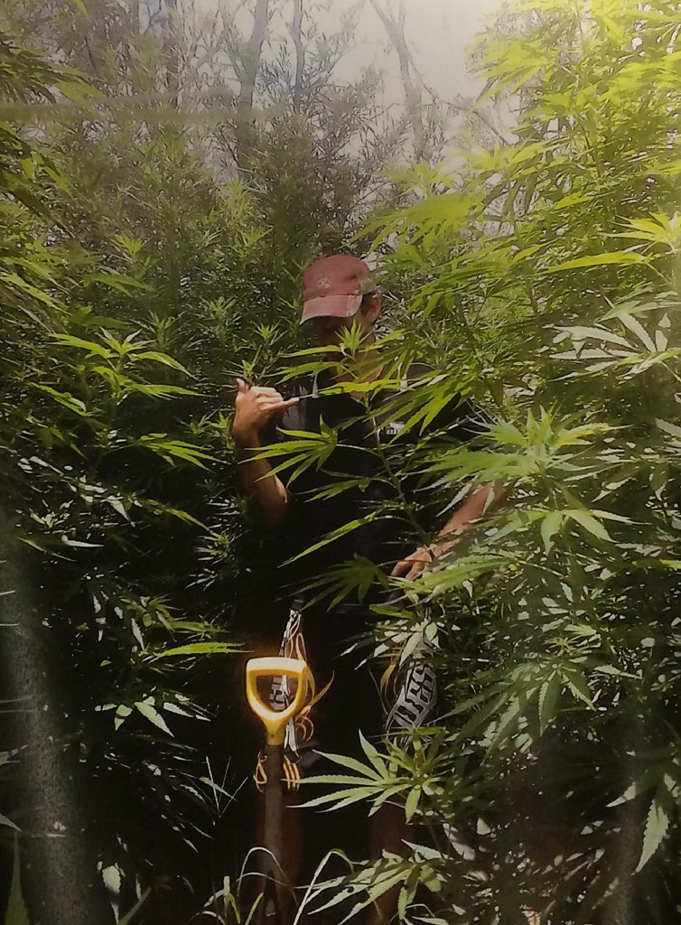 Having your photo taken with a plantation of drugs is not a good idea. Having your photo taken with a plantation of drugs is not a good idea.