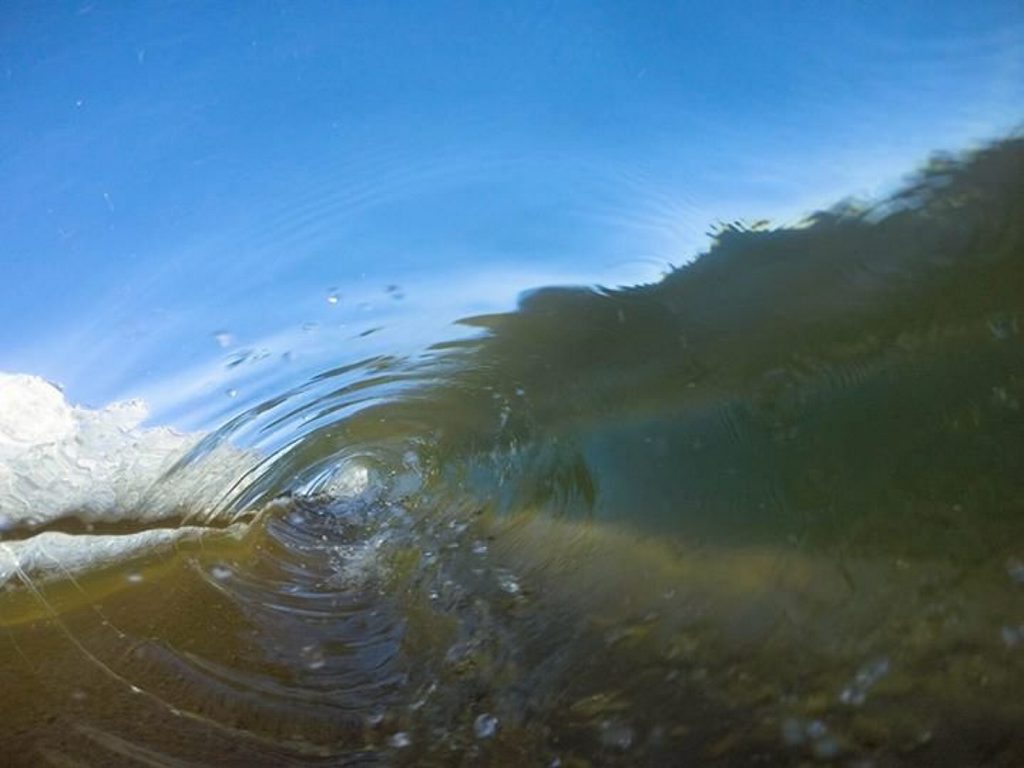 Kobe Whitney's Photo.