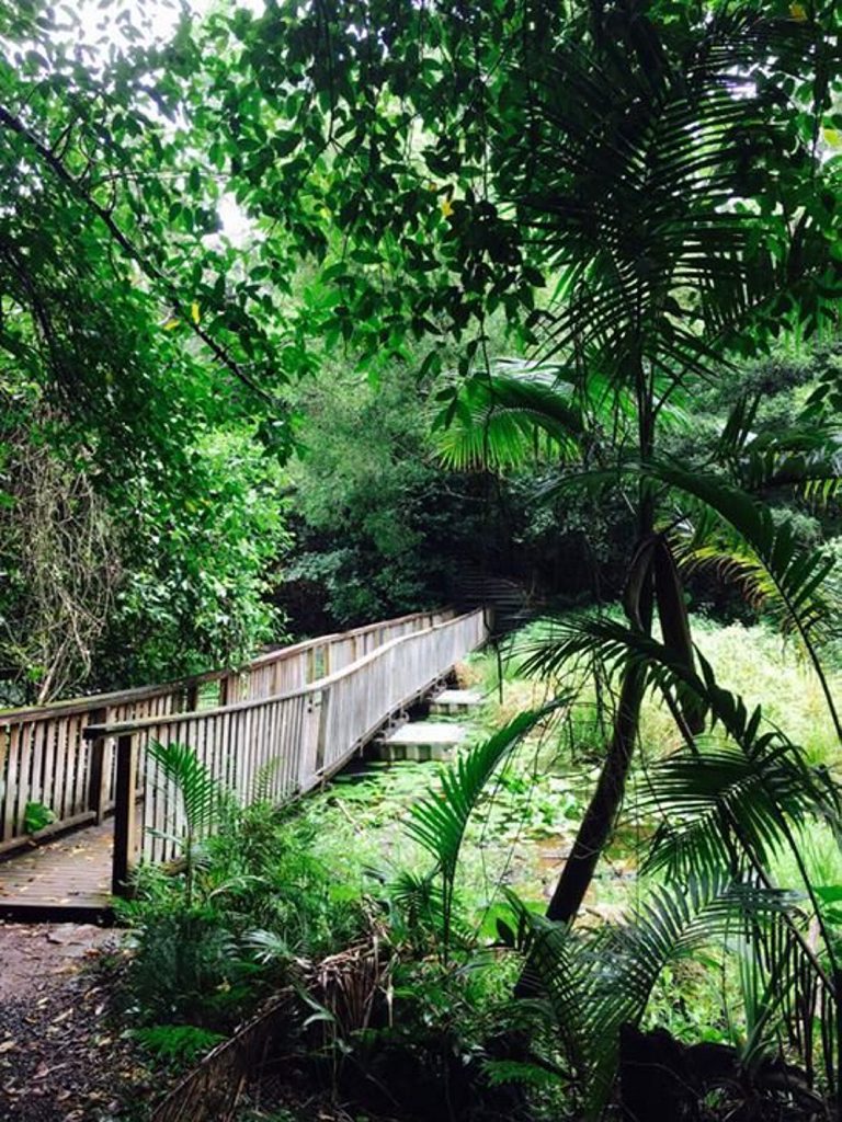 A BEAUTIFUL shot of Rocky Creek Dam by Rachel Fletcher has gained 40% of the Photo of the Day votes today. Photo of the Day celebrates the beauty of the Northern Rivers and the talent of its people. As well as appearing here, it is published on our website and appears as the cover image on our Facebook page. To contribute to Photo of the Day, share an image to our Facebook page or vote in our weekday poll before noon. You will find the poll in the Photo of the Day story online.