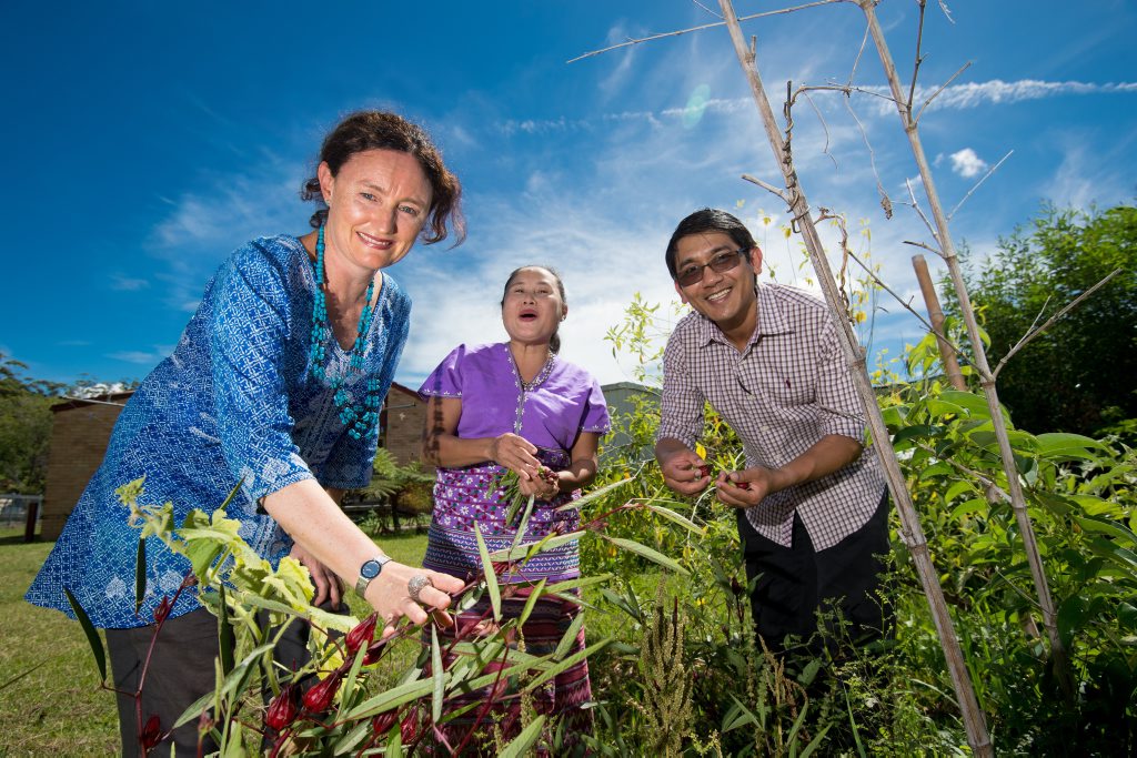 THE POWER OF FOOD: SCU filmmaker Mandy Hughes with local Myanmar community members Soe Tha Karen and Htun Htun Oo, in Soe’s garden. THE POWER OF FOOD: SCU filmmaker Mandy Hughes with local Myanmar community members Soe Tha Karen and Htun Htun Oo, in Soe’s garden.