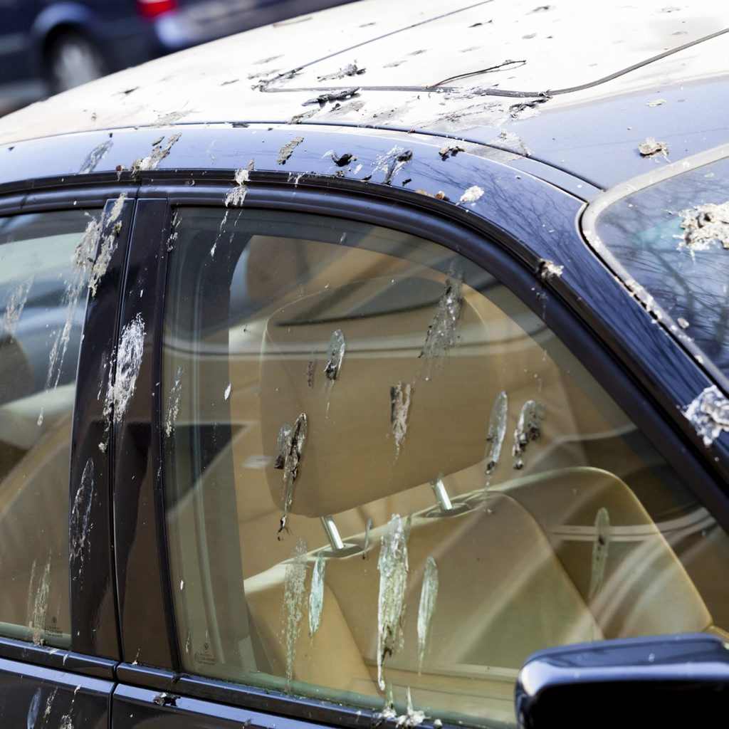 Bird poo and bat poo are a major problem for your car's paint. Remove it immediately. Photo: Thinkstock Bird poo and bat poo are a major problem for your car's paint. Remove it immediately. Photo: Thinkstock