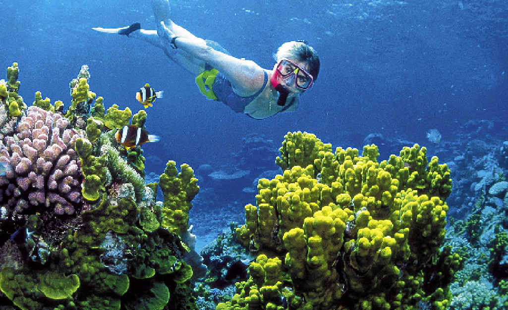 To help raise awareness about the issue, the Australian Marine Conservation Society and the Whitsunday Local Marine Advisory Committee are sponsoring a Coral Bleaching Forum to be held next week. To help raise awareness about the issue, the Australian Marine Conservation Society and the Whitsunday Local Marine Advisory Committee are sponsoring a Coral Bleaching Forum to be held next week.