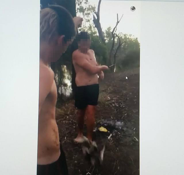 A screenshot of the alleged attack on a native turtle involving three boys at the Weir, filmed and shared on Snapchat. A screenshot of the alleged attack on a native turtle involving three boys at the Weir, filmed and shared on Snapchat.