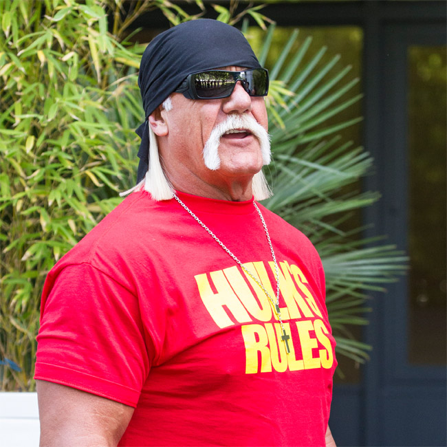 Hulk Hogan Hulk Hogan