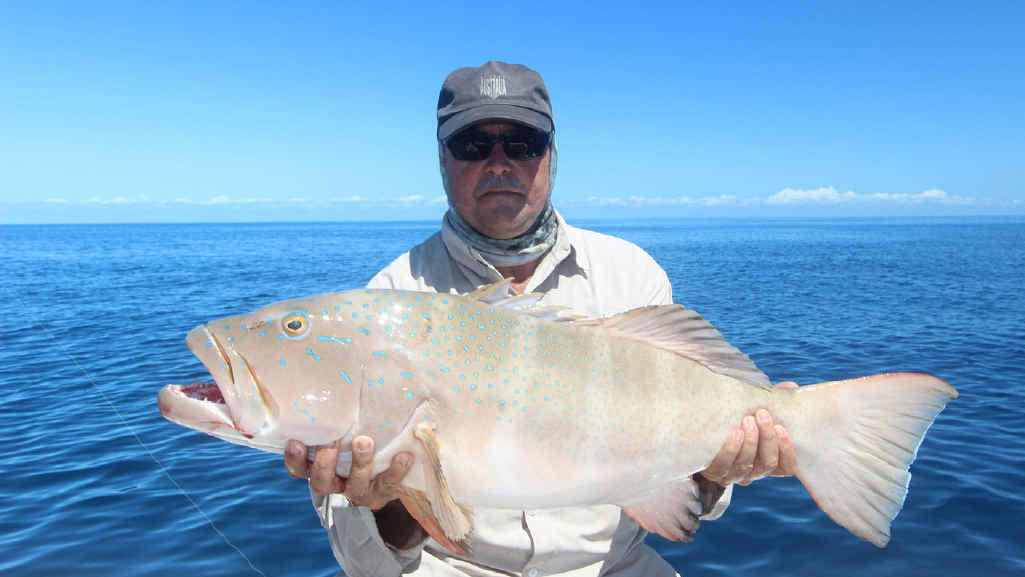 BIG ONE: William with a solid coral trout caught with Hervey Bay Fly and Sportfishing. BIG ONE: William with a solid coral trout caught with Hervey Bay Fly and Sportfishing.