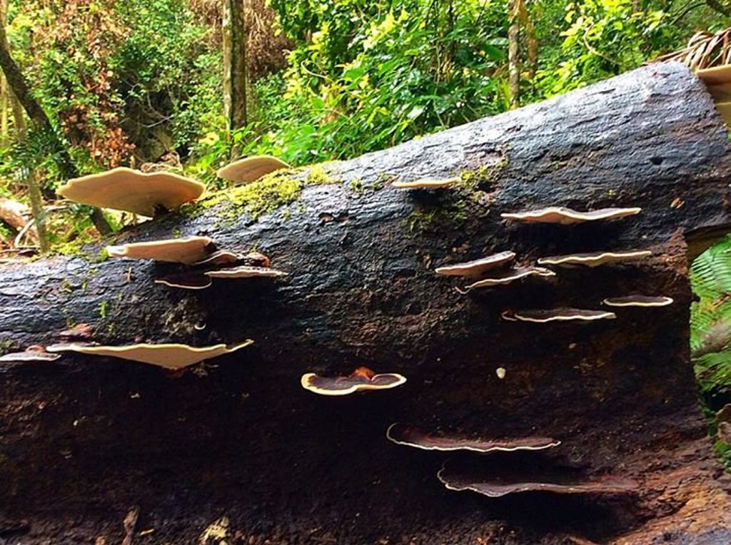 Trish Milgate's photo.