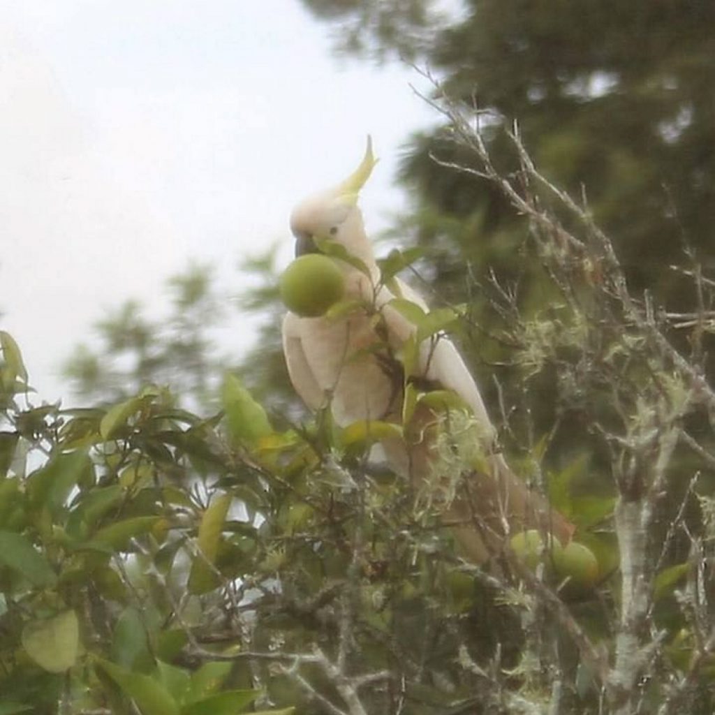 NAT Guest snapped this photo entitled 