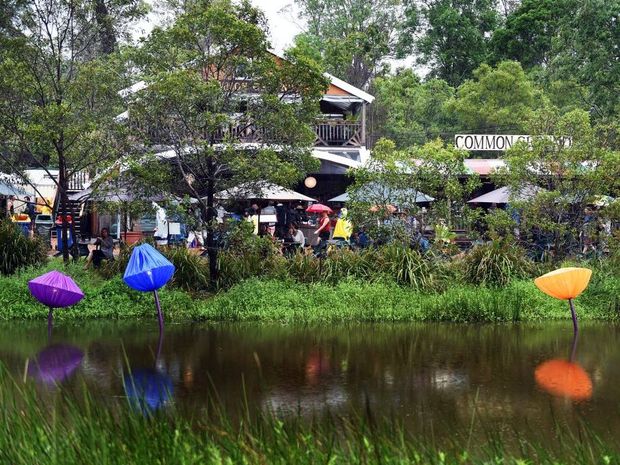 Green thumbs galore at Woodfordia’s Planting Festival