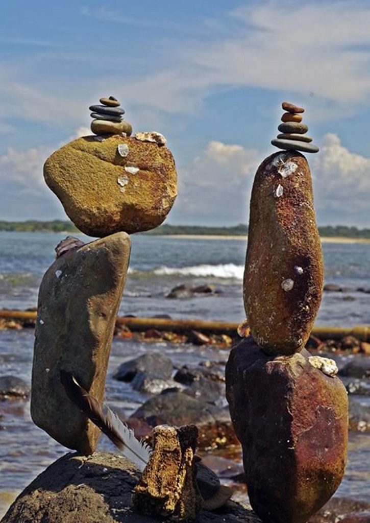 TERRY Stormon took this photo 