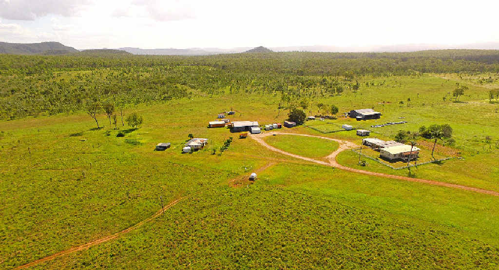 UP FOR GRABS: A marlborough cattle station bought by Clive Palmer for $8.25 million was passed in at auction for just $1.5 million. INSET: Clive Palmer. UP FOR GRABS: A marlborough cattle station bought by Clive Palmer for $8.25 million was passed in at auction for just $1.5 million. INSET: Clive Palmer.
