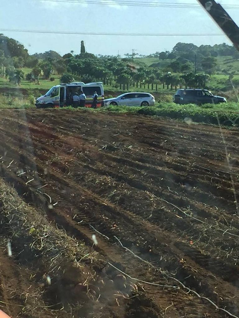 Two police were taken to hospital after a man allegedly lashed out at them in Cudgen on Monday morning. He was eventually Tasered and arrested on a potato farm.