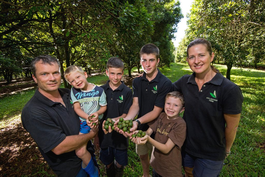 Stillwaters Macadamia Farm owners (left to right) Nic, Malakye, 5, Kenton, 13, Reid, 16, Connor, 7, and Katherine Emery. Stillwaters Macadamia Farm owners (left to right) Nic, Malakye, 5, Kenton, 13, Reid, 16, Connor, 7, and Katherine Emery.