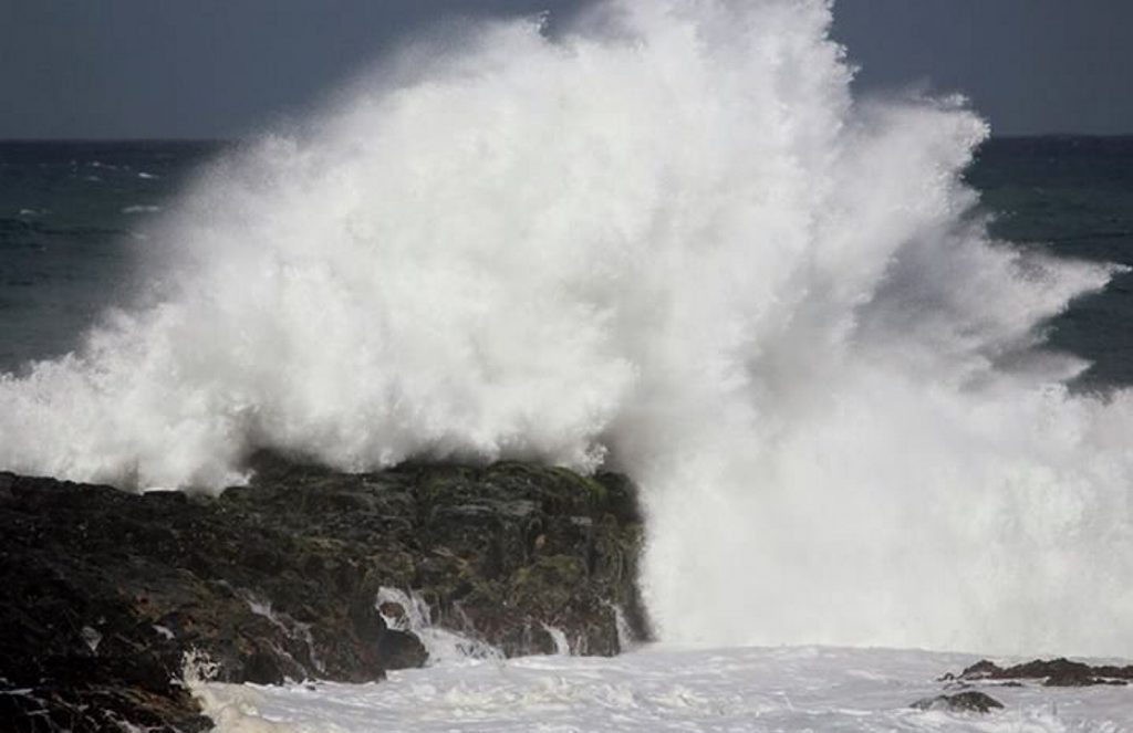 Simone Campbell's photo.