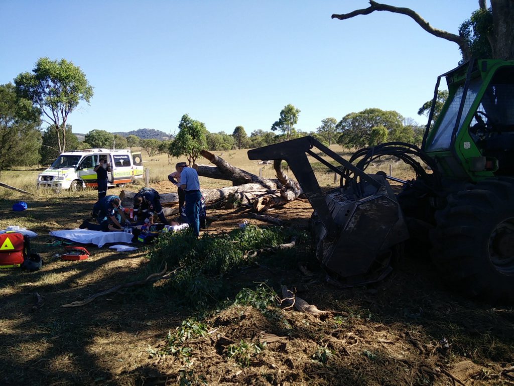The man cut the tree for a mulching machine that his team was operating. The man cut the tree for a mulching machine that his team was operating.