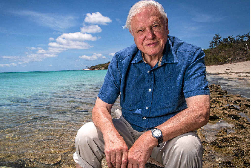 WORRIED: Sir David Attenborough is concerned for the future of the Great Barrier Reef. WORRIED: Sir David Attenborough is concerned for the future of the Great Barrier Reef.