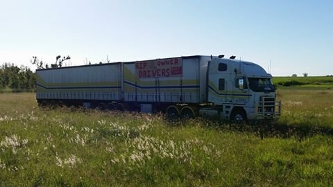 A truck parked on Burnett Heads Rd has been much talked about. A truck parked on Burnett Heads Rd has been much talked about.