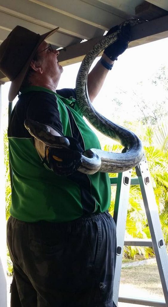 Wayne Cameron working for his own business, Reptrix Reptile Wayne Cameron working for his own business, Reptrix Reptile