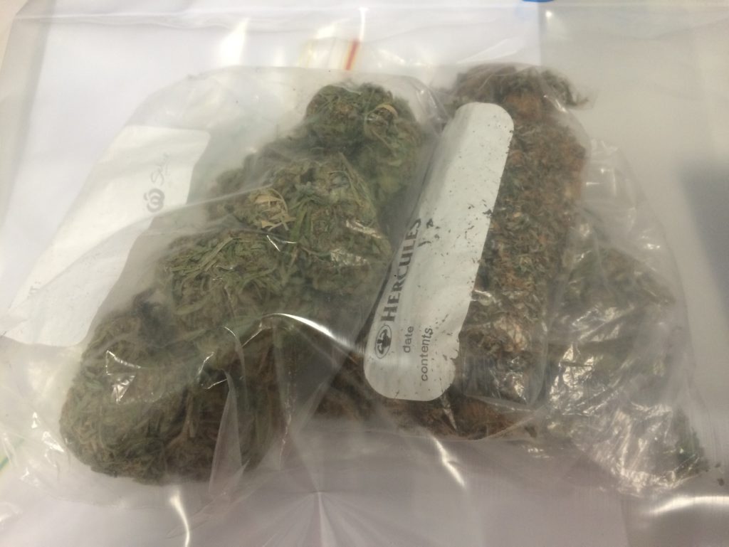 CHILDERS RAID: Marijuana was found during a search of a Childers house on April 11, 2016. Photo Carolyn Archer / NewsMail CHILDERS RAID: Marijuana was found during a search of a Childers house on April 11, 2016. Photo Carolyn Archer / NewsMail