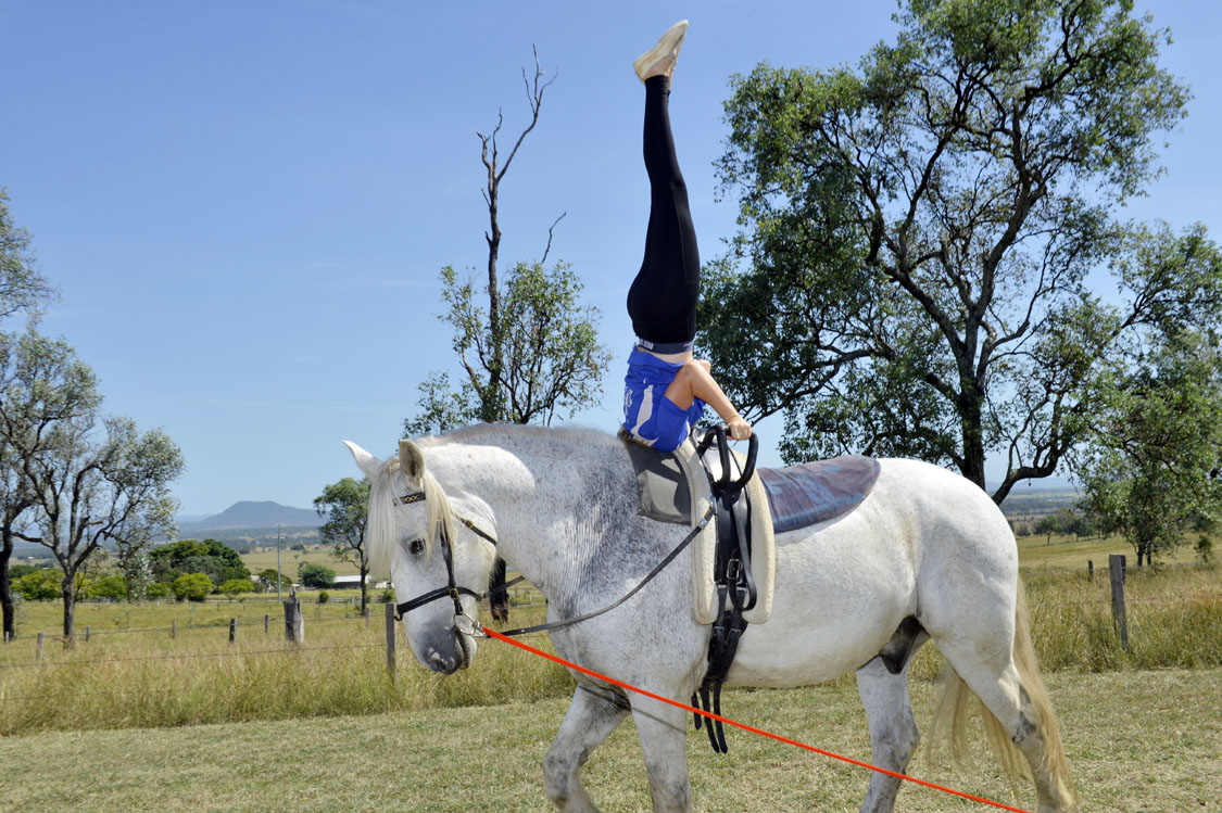 Sam Logovik started vaulting lessons with David Waller in Peak Crossing at the end of last year after attending a combined vaulting and trick riding clinic. Sam Logovik started vaulting lessons with David Waller in Peak Crossing at the end of last year after attending a combined vaulting and trick riding clinic.