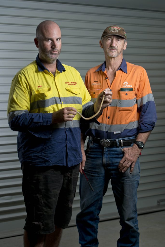 Gladstone snake catchers Kris Foster and Mike Boen with a two month old coastal taipan. Photo Paul Braven / The Observer Gladstone snake catchers Kris Foster and Mike Boen with a two month old coastal taipan. Photo Paul Braven / The Observer