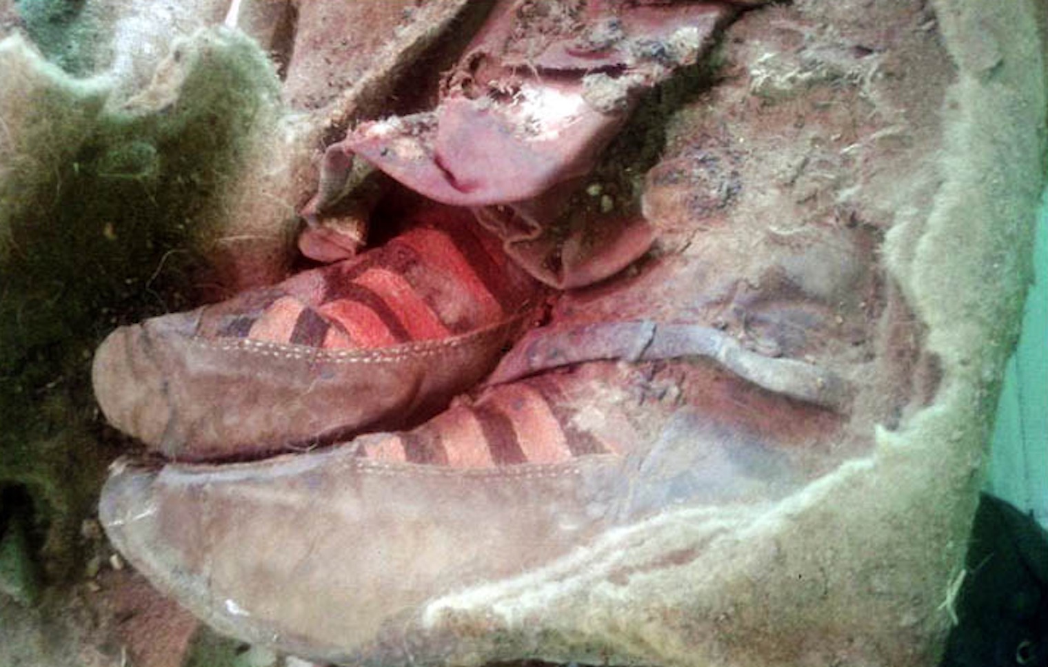 An ancient mummy unearthed in Mongolia has been found wearing apparently cutting-edge footwear. An ancient mummy unearthed in Mongolia has been found wearing apparently cutting-edge footwear.