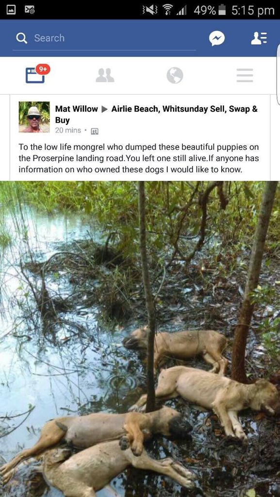 The post that appeared on Facebook yesterday afternoon. The post that appeared on Facebook yesterday afternoon.