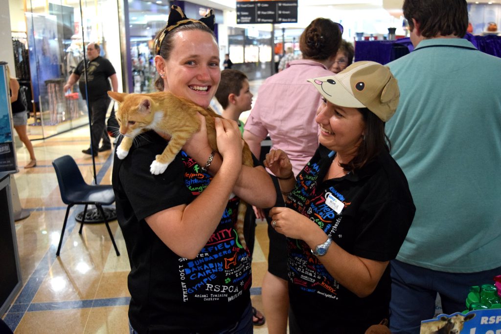 Mackay animal welfare group goes shopping for adopters Daily Mercury