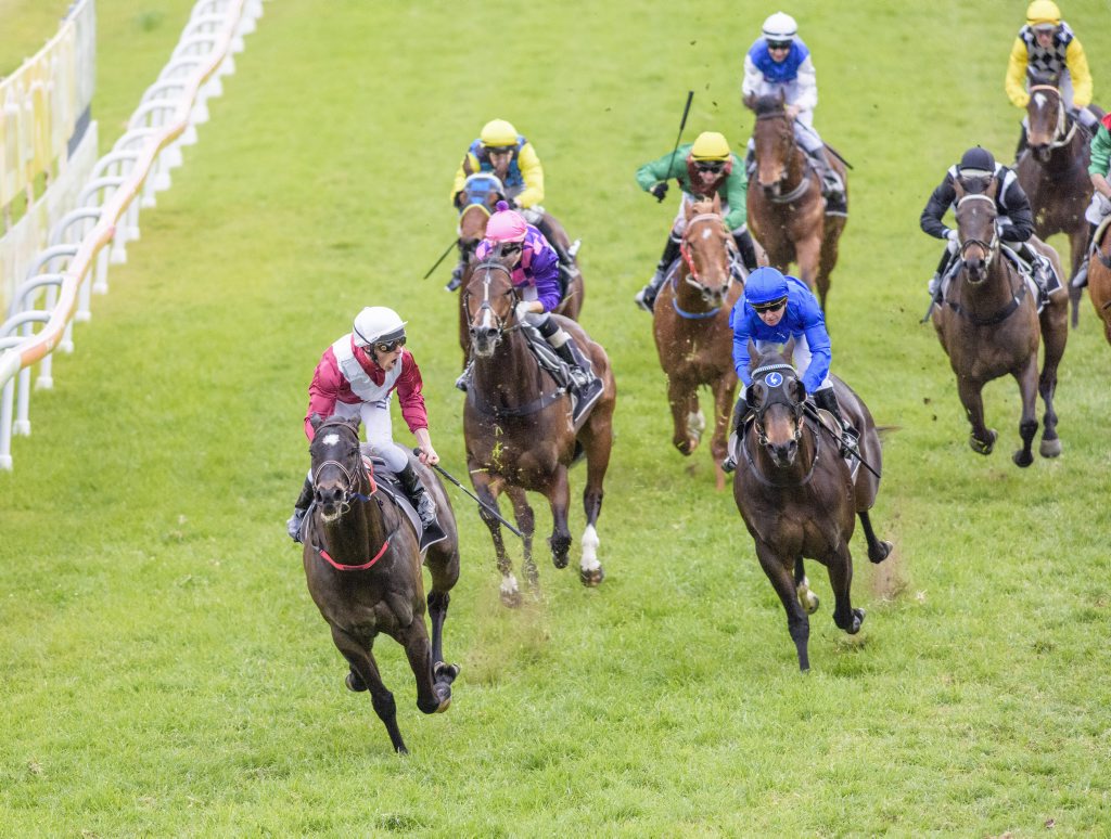 12 - Rock Royalty ridden by Chris Whiteley wins the Ramornie Handicap in a track record. Photo Adam Hourigan / The Daily Examiner 12 - Rock Royalty ridden by Chris Whiteley wins the Ramornie Handicap in a track record. Photo Adam Hourigan / The Daily Examiner