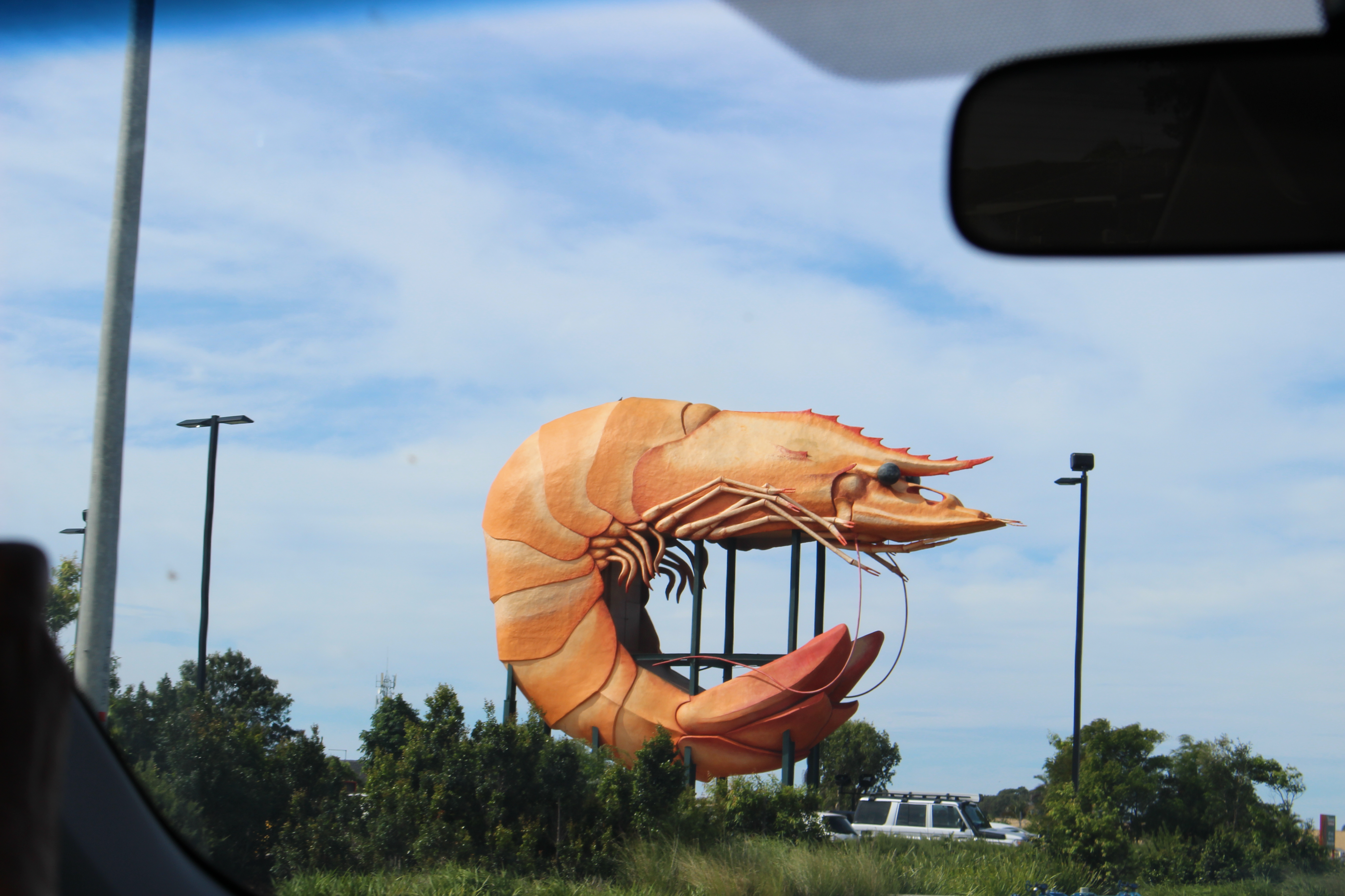 Seniors News team reaches Lismore, Ballina
