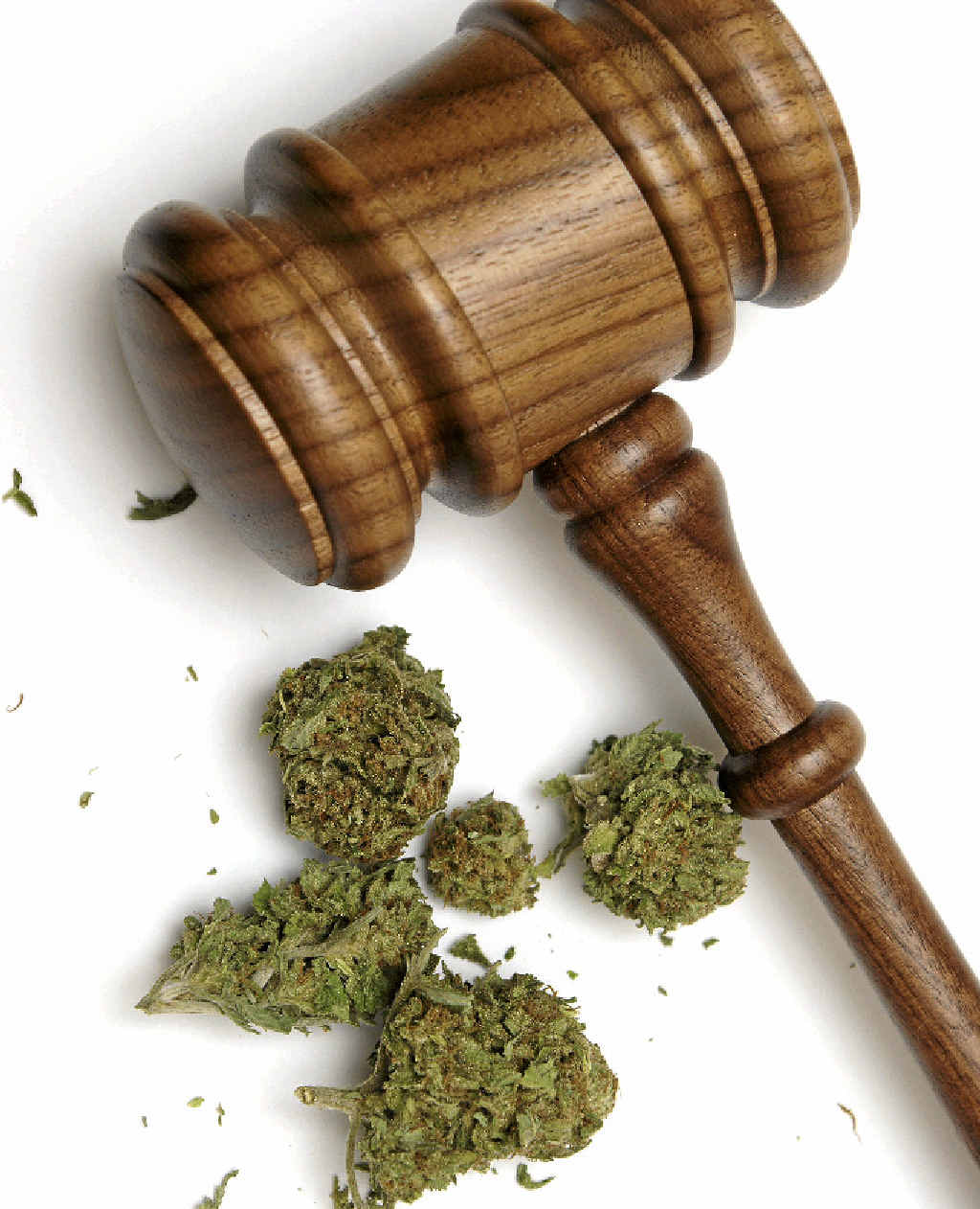 GOVERNMENT PROPOSAL: The maximum penalties for possessing, supplying and trafficking marijuana could rise if a proposed State Government amendment becomes law. GOVERNMENT PROPOSAL: The maximum penalties for possessing, supplying and trafficking marijuana could rise if a proposed State Government amendment becomes law.