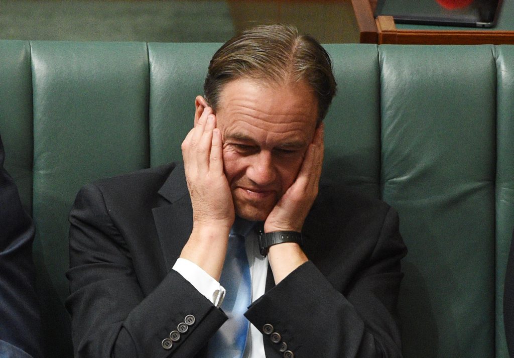 Minister for the Environment Greg Hunt during Question Time at Parliament House in Canberra on Monday, April 18, 2016. (AAP Image/Mick Tsikas) NO ARCHIVING Minister for the Environment Greg Hunt during Question Time at Parliament House in Canberra on Monday, April 18, 2016. (AAP Image/Mick Tsikas) NO ARCHIVING