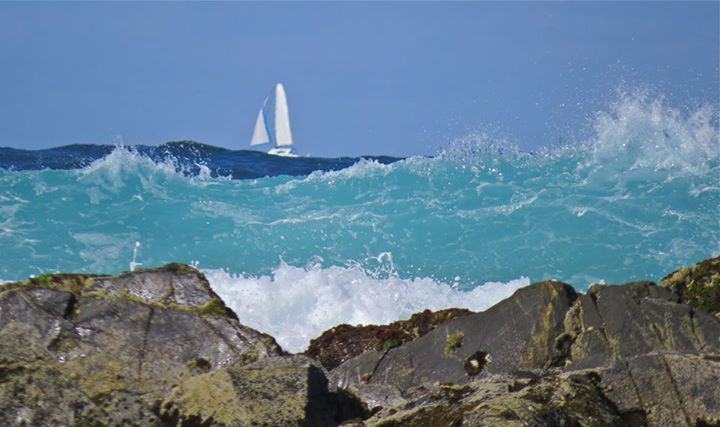 Trish Fielding - Taken on Cabarita Beach, southern end. It was a beautiful day and the water was showing it's different colours. Trish Fielding - Taken on Cabarita Beach, southern end. It was a beautiful day and the water was showing it's different colours.