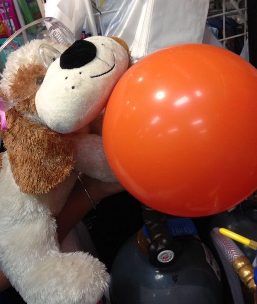 Puppy helps out at the balloon station at Spotlight. Puppy helps out at the balloon station at Spotlight.
