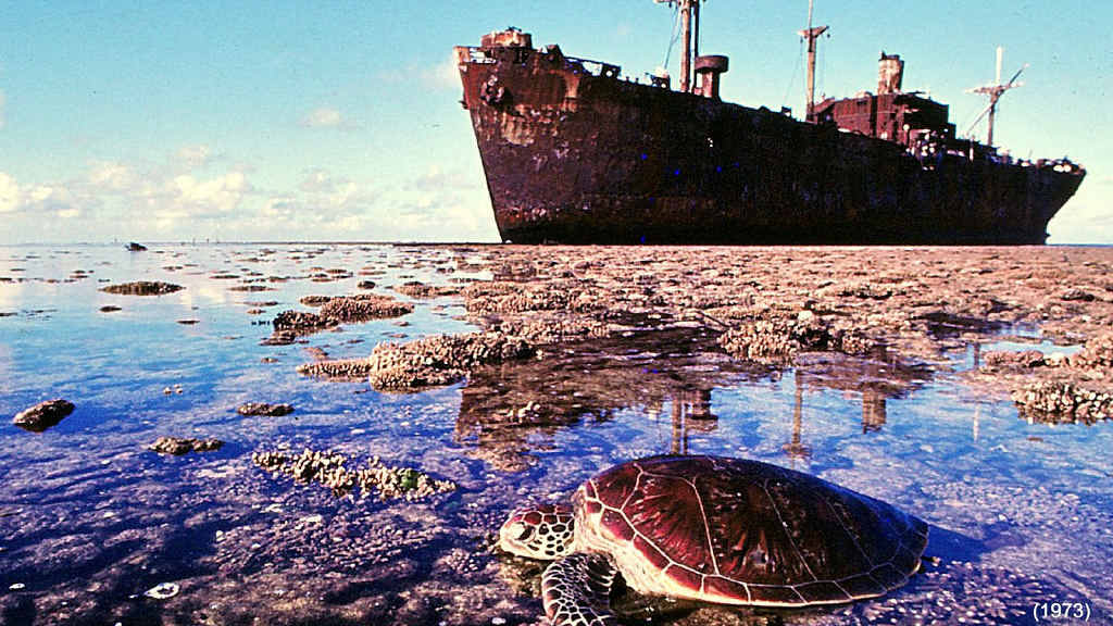 Low tide at Saumarez Reef in the Coral Sea – the wreck was too rusty to explore again. Low tide at Saumarez Reef in the Coral Sea – the wreck was too rusty to explore again.