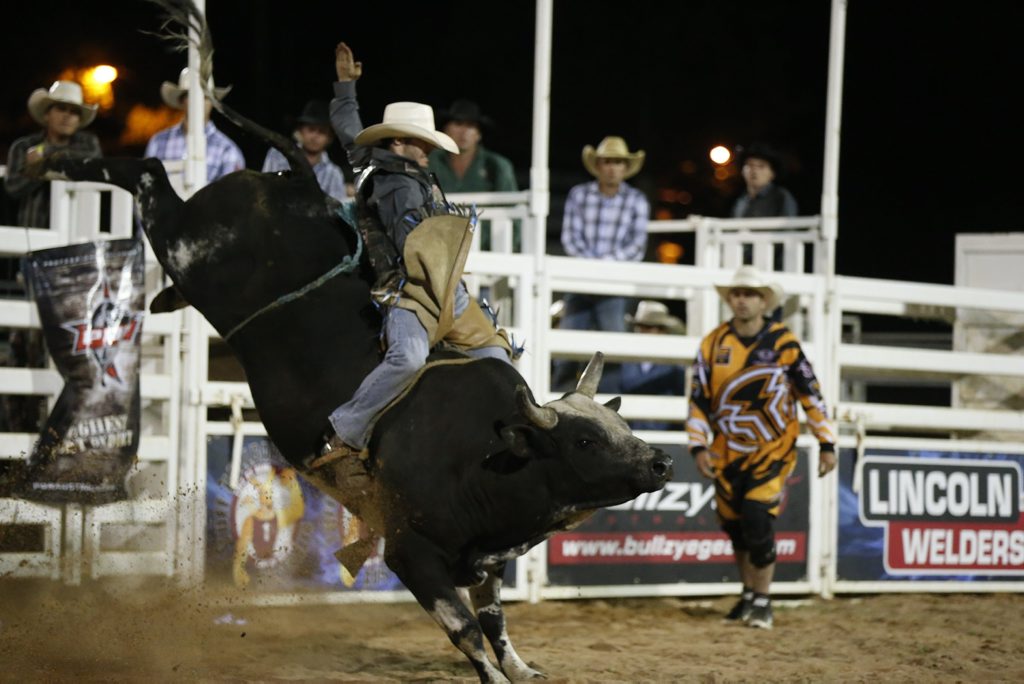GIDDY UP: Rural Weekly Series leader Cody Heffernan in action at Toowoomba. GIDDY UP: Rural Weekly Series leader Cody Heffernan in action at Toowoomba.