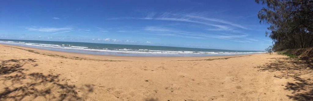 Moore Park Beach was closed for an hour on Saturday after a shark sighting. Moore Park Beach was closed for an hour on Saturday after a shark sighting.