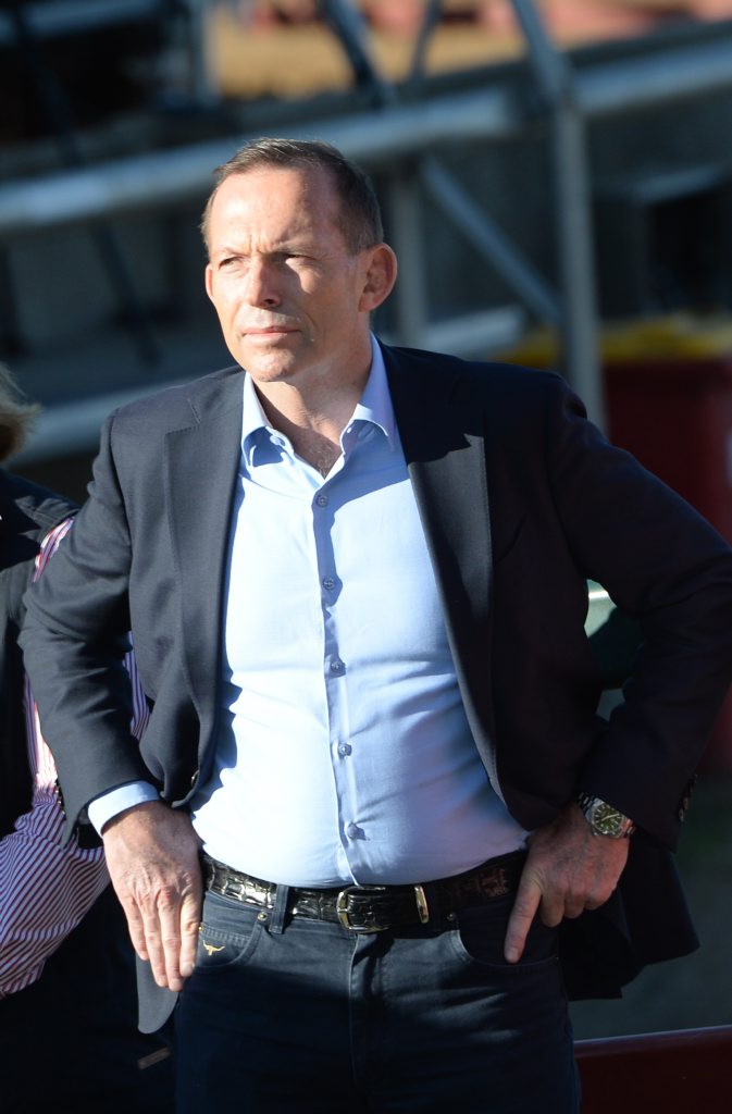 Tony Abbott is reportedly preparing to again push to lead the party Tony Abbott is reportedly preparing to again push to lead the party