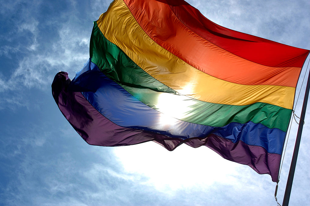 The rainbow flag is also known as the gay pride flag.