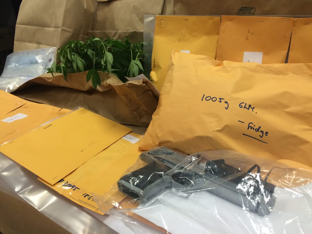 Fifty cannabis plants, 2kg of cannabis, more than a hundred MDMA pills and firearms including a handgun and rifle were seized by police as part of Operation North Slingshot. Fifty cannabis plants, 2kg of cannabis, more than a hundred MDMA pills and firearms including a handgun and rifle were seized by police as part of Operation North Slingshot.