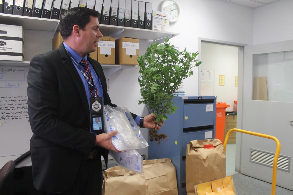 Detective Acting Inspector Jeremy Novosel, Inspector for Crime and Support Services holding some of drugs seized by police as part of Operation North Slingshot. Detective Acting Inspector Jeremy Novosel, Inspector for Crime and Support Services holding some of drugs seized by police as part of Operation North Slingshot.