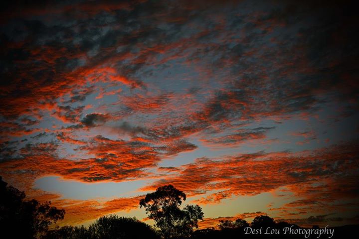 Sunset over Nimbin Valley Sunset over Nimbin Valley