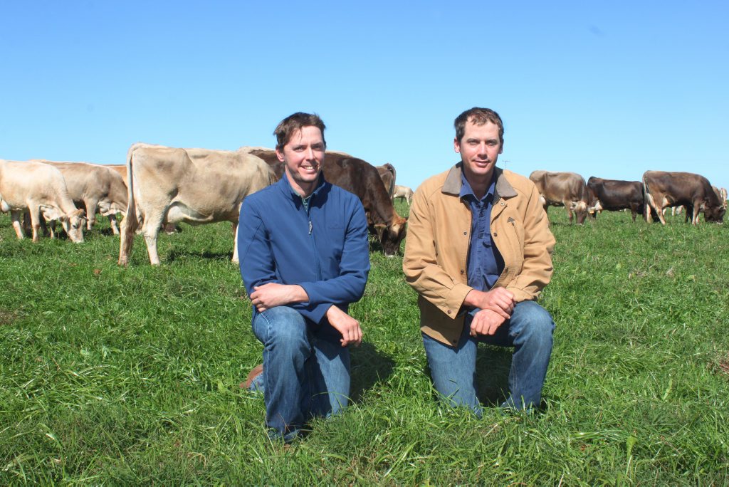 Michael and Aaron Clews, from Slatewood dairy farm in Rossmoya, discuss the impact of supermarket milk wars on Central Queensland farmers and economy. Michael and Aaron Clews, from Slatewood dairy farm in Rossmoya, discuss the impact of supermarket milk wars on Central Queensland farmers and economy.