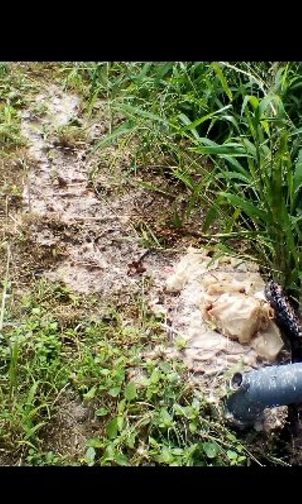 NOT HAPPY: Images from the overflowing sewerage at Maxine Frescon's house. NOT HAPPY: Images from the overflowing sewerage at Maxine Frescon's house.