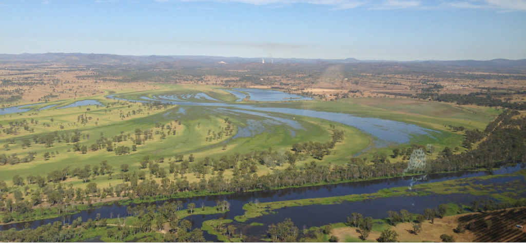 IN-FIGHTING: Government MP launches a bizarre attack on Gladstone councillors over a perceived lack of support for the $132m Rookwood Weir project. IN-FIGHTING: Government MP launches a bizarre attack on Gladstone councillors over a perceived lack of support for the $132m Rookwood Weir project.