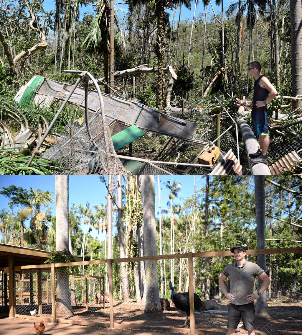 Cooberrie Park wildlife keeper Kieron Smedley has a look around the park that was demolished in Cyclone Marcia. Below left: Man walks his dog down Gladstone Road after the 2011 Fitzroy River flood. Cooberrie Park wildlife keeper Kieron Smedley has a look around the park that was demolished in Cyclone Marcia. Below left: Man walks his dog down Gladstone Road after the 2011 Fitzroy River flood.