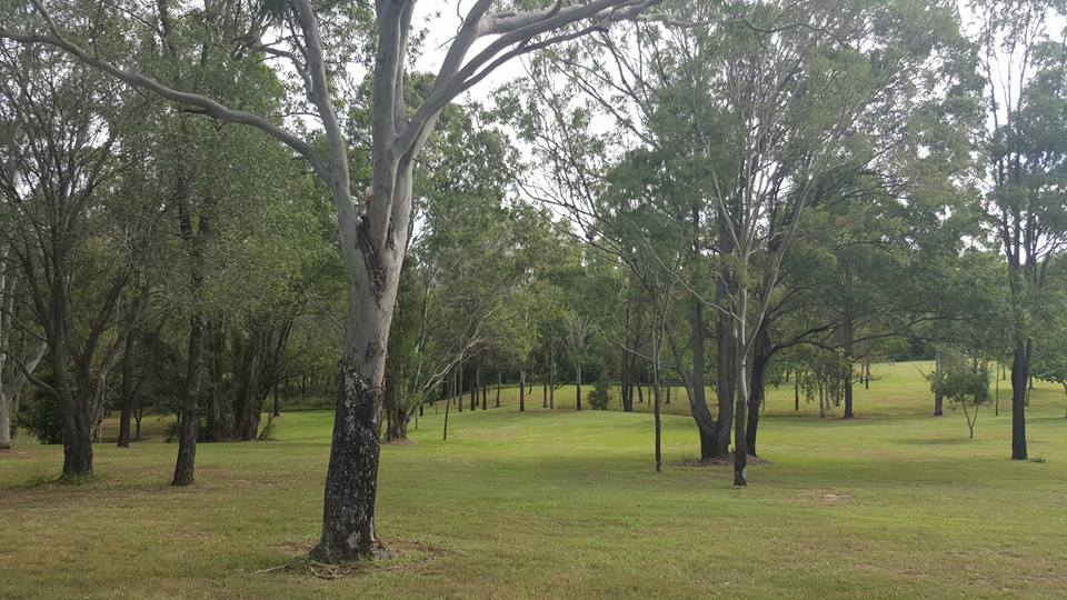 A picnic in nature is the best A picnic in nature is the best
