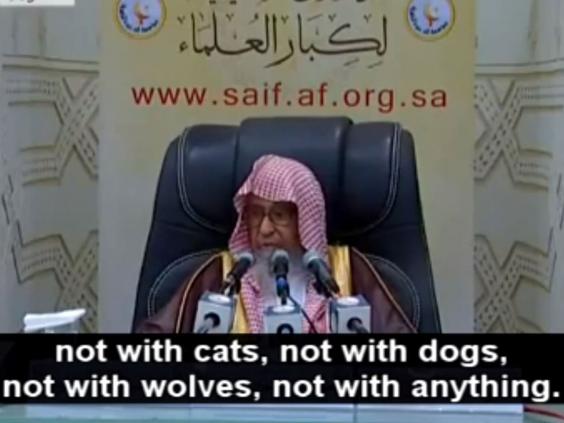 Sheikh Saleh Bin Fawzan Al-Fazwan says people should not take photos with cats, dogs, wolves... or at all Sheikh Saleh Bin Fawzan Al-Fazwan says people should not take photos with cats, dogs, wolves... or at all