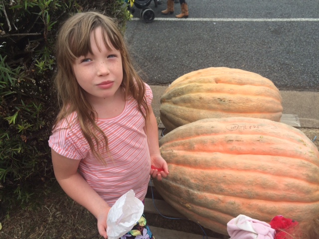 Goomeri Pumpkin Festival a sweet treat for the family