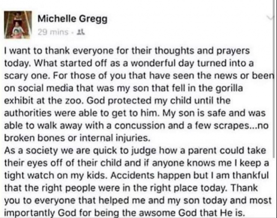 The mother of the boy said that people were being quick to blame (Facebook)
The mother of the boy said that people were being quick to blame (Facebook)