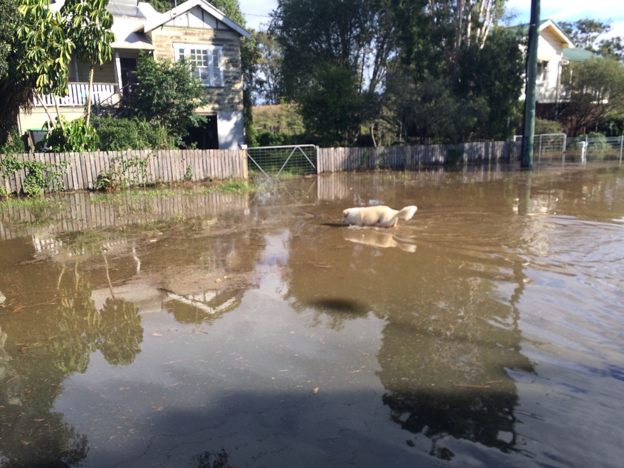 Lismore flooding, June 5, 2016. Lismore flooding, June 5, 2016.
